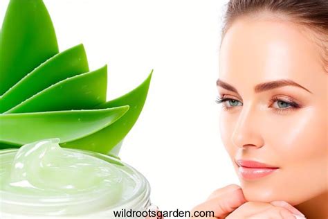 aloe vera on face everyday results|Aloe Vera Gel on Face every day: A Natural Skincare Regimen.